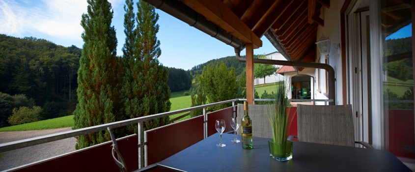 Ausblick der Ferienwohnung Landblick