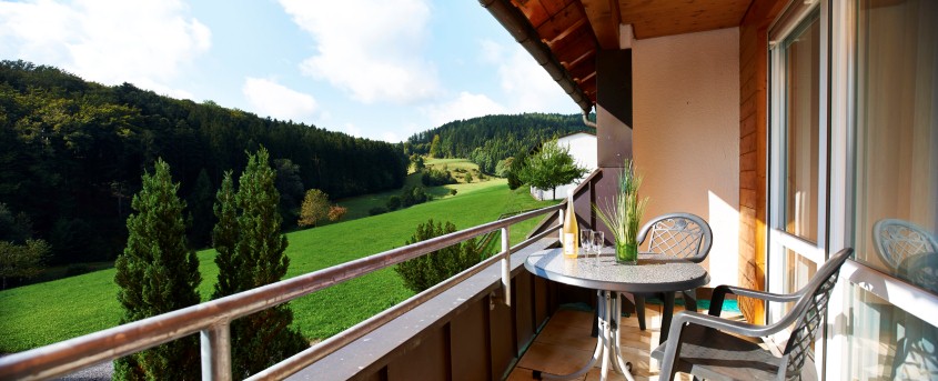 Ausblick der Ferienwohnung Waldblick
